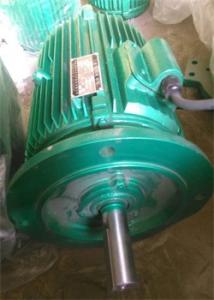 冷卻塔電動(dòng)機(jī)